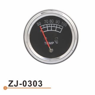 Calibrador de Temperarture del agua ZJ-0303
