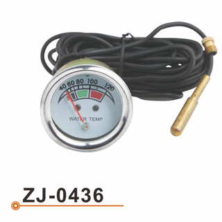 Calibrador de Temperarture del agua ZJ-0436