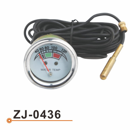 Calibrador de Temperarture del agua ZJ-0436