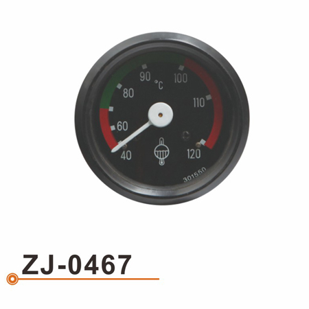 Calibrador de Temperarture del agua ZJ-0467