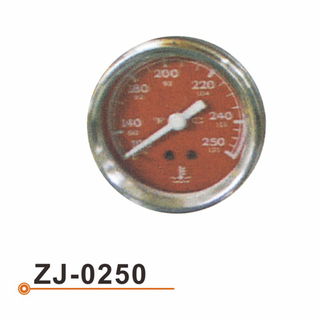 Calibrador de Temperarture del agua ZJ-0250