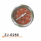 Calibrador de Temperarture del agua ZJ-0250