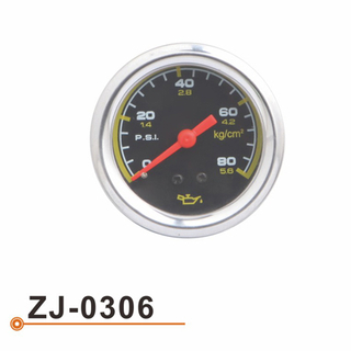 Calibrador de la presión de carburante ZJ-0306