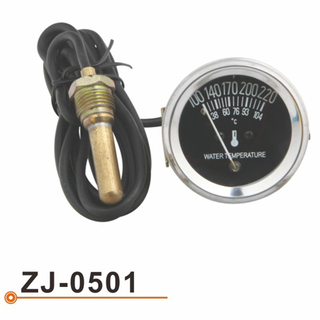 Calibrador de Temperarture del agua ZJ-0501