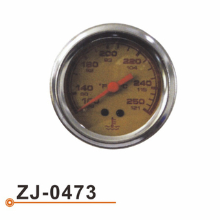 Calibrador de Temperarture del agua ZJ-0473