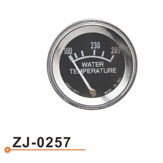 Calibrador de Temperarture del agua ZJ-0257