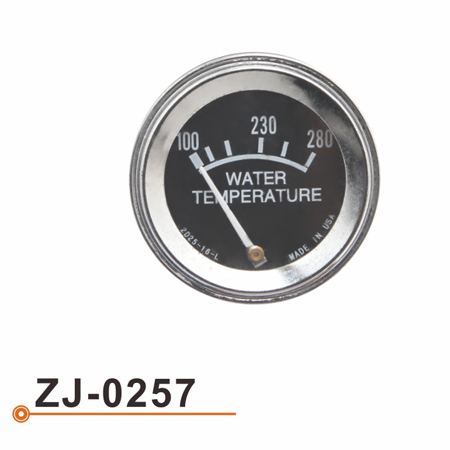 Calibrador de Temperarture del agua ZJ-0257