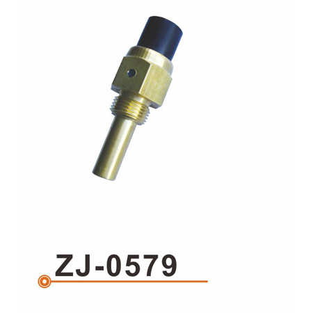 Sensor de la temperatura del agua ZJ-0579