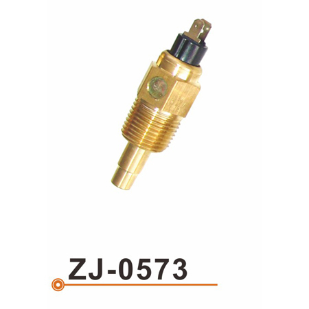 Sensor de la temperatura del agua ZJ-0573