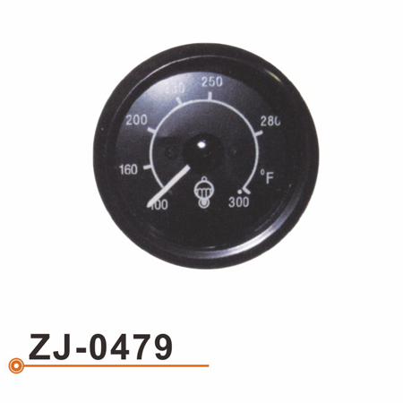 Calibrador de Temperarture del agua ZJ-0479