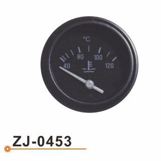 Calibrador de Temperarture del agua ZJ-0453