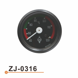 Calibrador de Temperarture del agua ZJ-0316