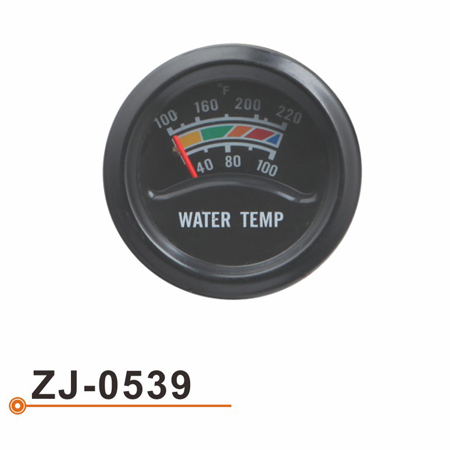 Calibrador de Temperarture del agua ZJ-0539