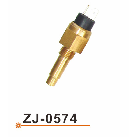 Sensor de la temperatura del agua ZJ-0574