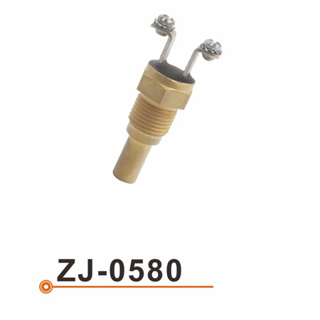 Sensor de la temperatura del agua ZJ-0580