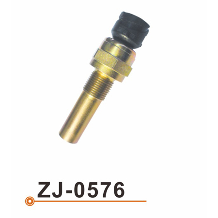 Sensor de la temperatura del agua ZJ-0576